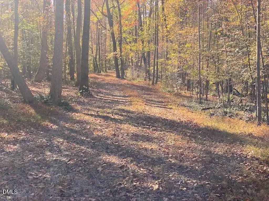 Lot 5 Sepelo Way Efland NC 27243