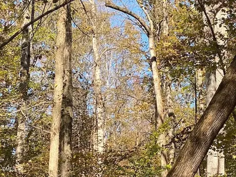Lot 5 Sepelo Way Efland NC 27243