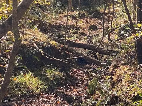 Lot 5 Sepelo Way Efland NC 27243