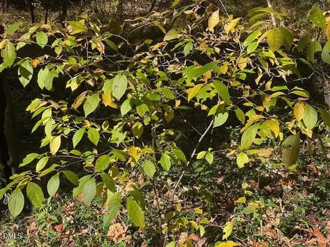 Lot 5 Sepelo Way Efland NC 27243