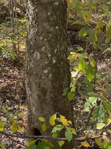 Lot 5 Sepelo Way Efland NC 27243
