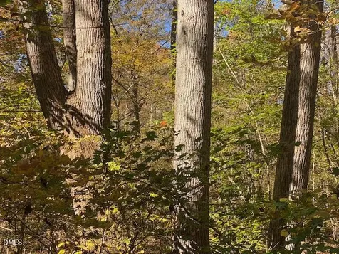 Lot 5 Sepelo Way Efland NC 27243