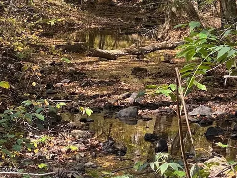 Lot 5 Sepelo Way Efland NC 27243