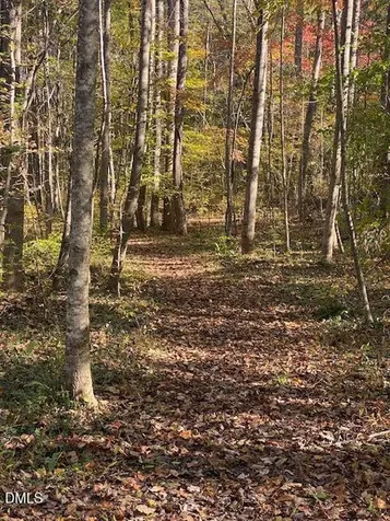 Lot 5 Sepelo Way Efland NC 27243