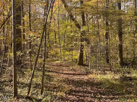 Lot 5 Sepelo Way Efland NC 27243