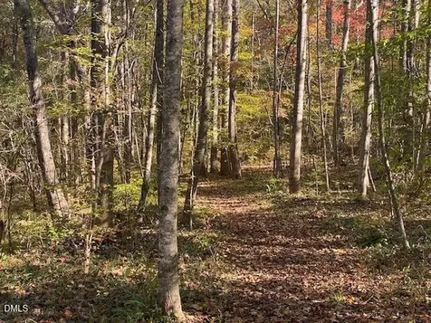 Lot 5 Sepelo Way Efland NC 27243