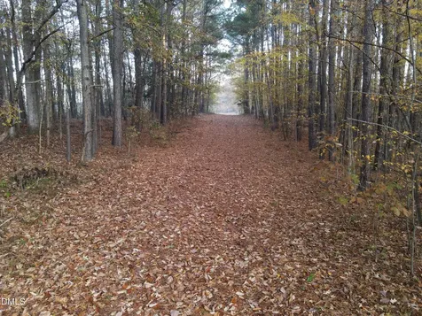0 Mudham Road Wendell NC 27591