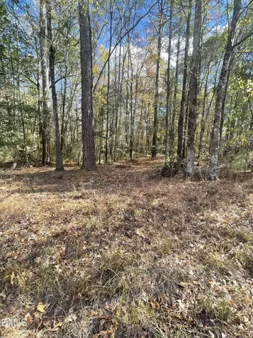 0 E Mcneill Street Lillington NC 27546