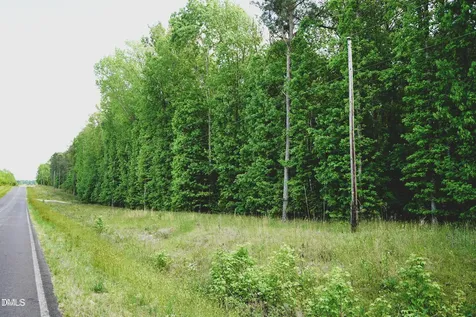 Lot 4 Arthur Wilder Road Spring Hope NC 27882