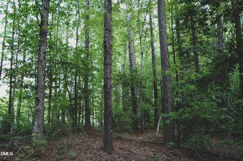 Lot 4 Arthur Wilder Road Spring Hope NC 27882