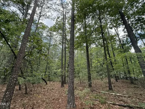 0 Elfman Drive Spring Lake NC 28390