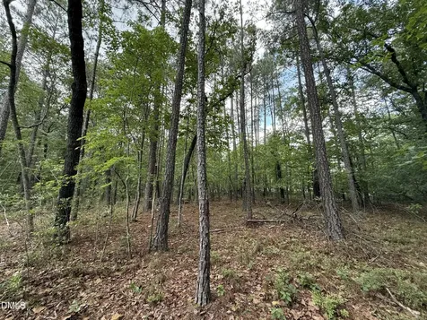 0 Elfman Drive Spring Lake NC 28390