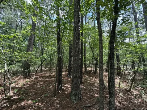 0 Elfman Drive Spring Lake NC 28390