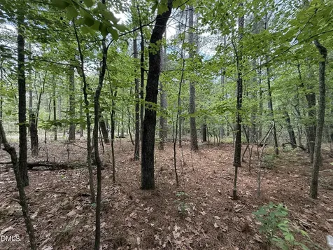 0 Elfman Drive Spring Lake NC 28390
