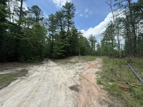 0 Elfman Drive Spring Lake NC 28390