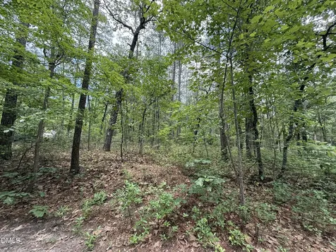 0 Elfman Drive Spring Lake NC 28390