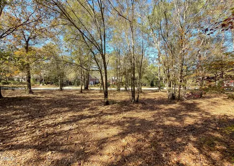 167 River Ridge Drive Wallace NC 28466