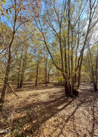 167 River Ridge Drive Wallace NC 28466
