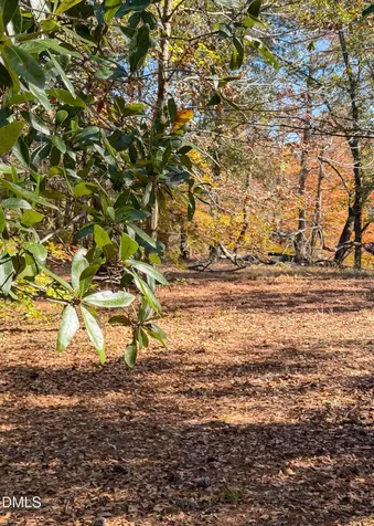 167 River Ridge Drive Wallace NC 28466