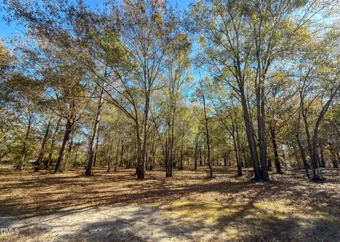 167 River Ridge Drive Wallace NC 28466