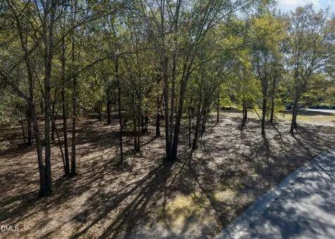167 River Ridge Drive Wallace NC 28466