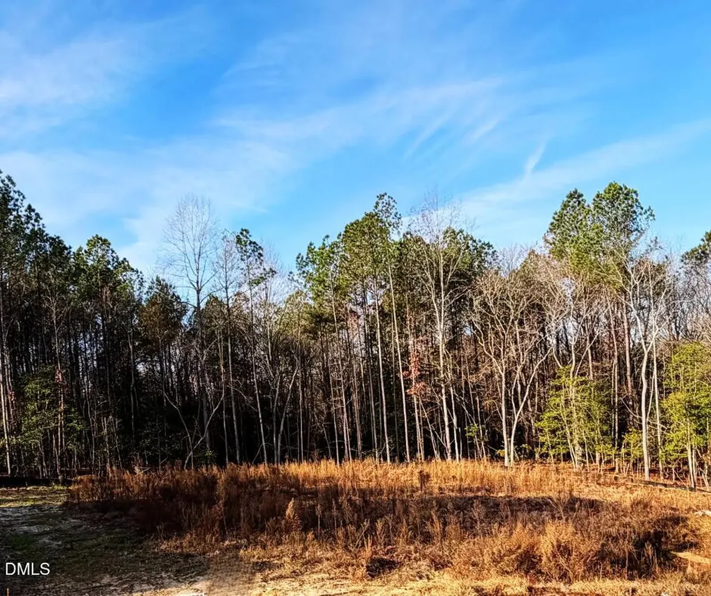 335 Little Lady Trail Zebulon NC 27597