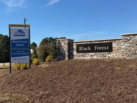 285 Black Forest Pointe Trail Benson NC 27504