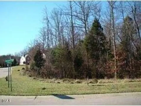 108 Elk River Court Mebane NC 27302