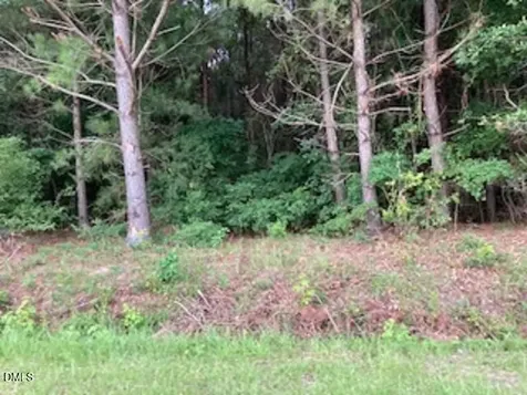 0 Waycross Road Turkey NC 28393