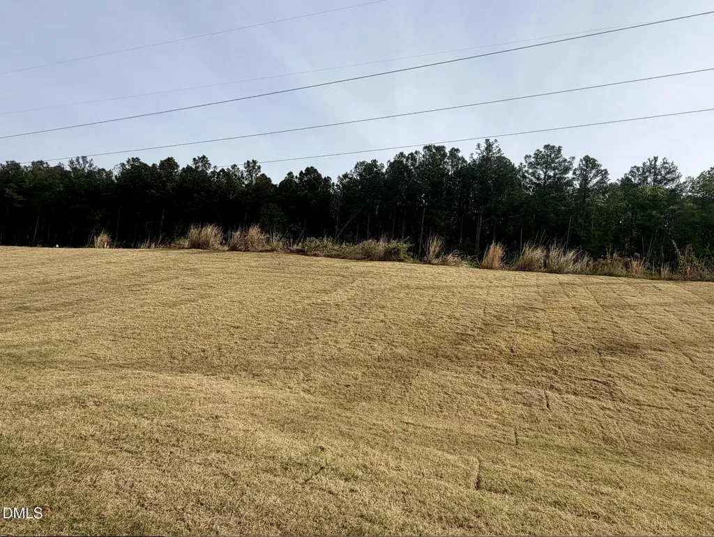 300 Bluejay Street Clayton NC 27520