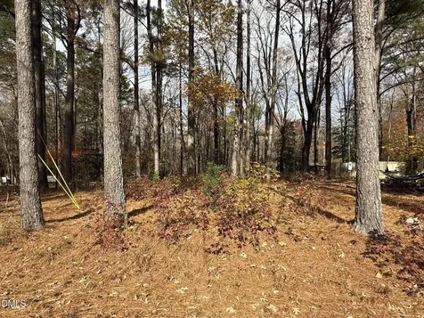 131 Catoose Drive Louisburg NC 27549