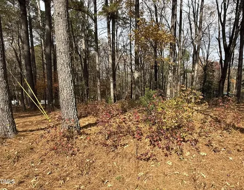 131 Catoose Drive Louisburg NC 27549