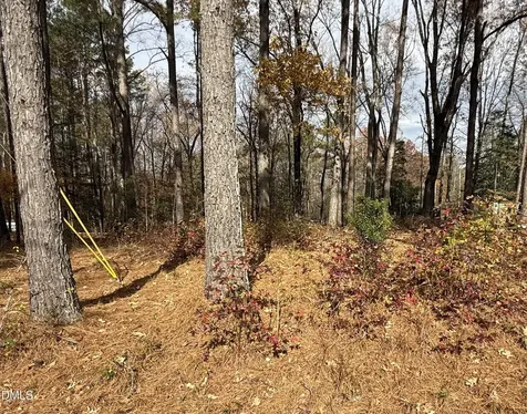 131 Catoose Drive Louisburg NC 27549
