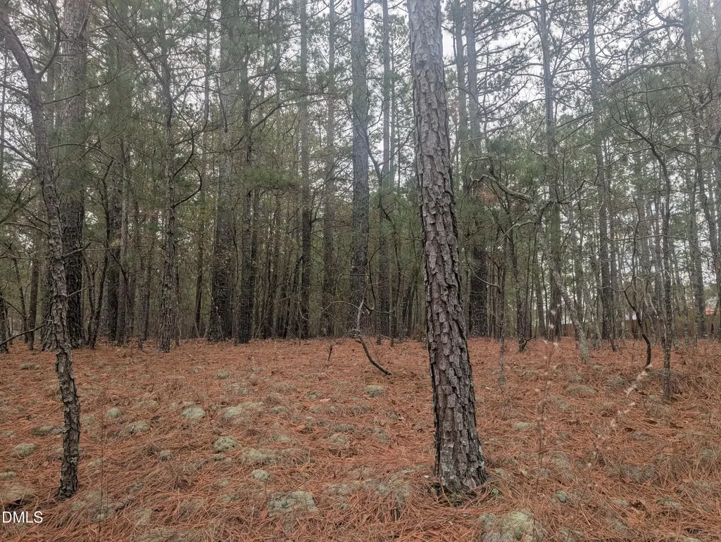 13 Saw Grass Road Eagle Springs NC 27242