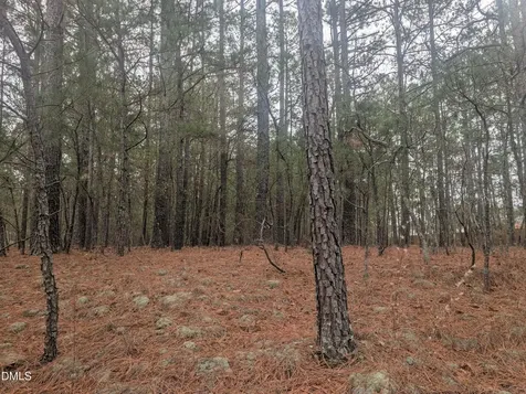 13 Saw Grass Road Eagle Springs NC 27242