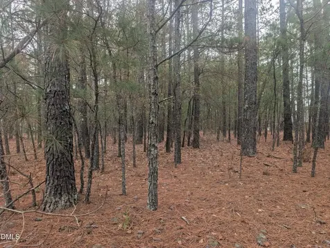 13 Saw Grass Road Eagle Springs NC 27242
