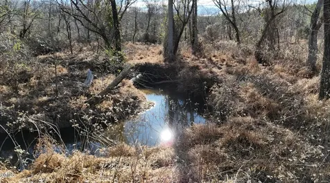 Lot 2 Hurdle Mills Road Roxboro NC 27574
