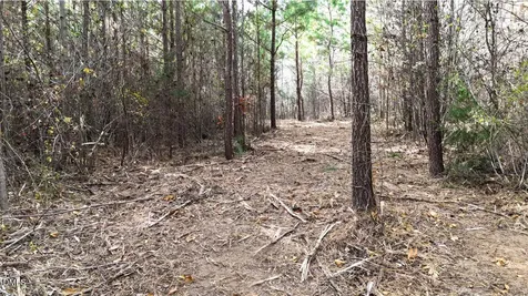 Lot 1 Hurdle Mills Road Roxboro NC 27574