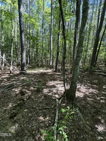 1820 Efland - Cedar Grove Road Efland NC 27243