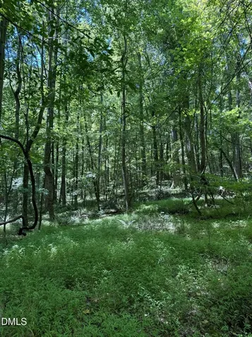 1820 Efland - Cedar Grove Road Efland NC 27243