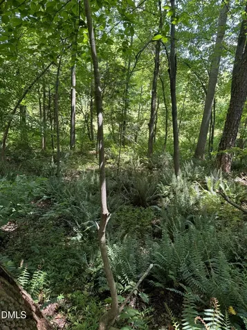 1820 Efland - Cedar Grove Road Efland NC 27243
