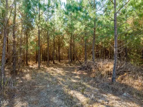 0 Will Brown Road Siler City NC 27344