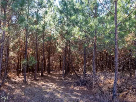 0 Will Brown Road Siler City NC 27344