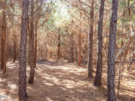 0 Will Brown Road Siler City NC 27344