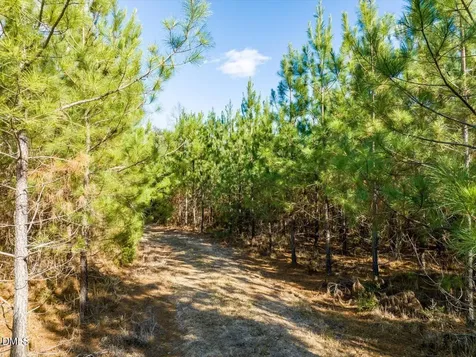 0 Will Brown Road Siler City NC 27344