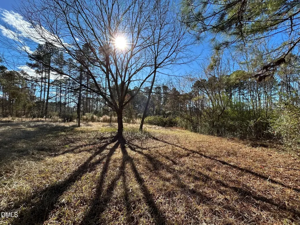 523 New Elam Church Road Moncure NC 27559