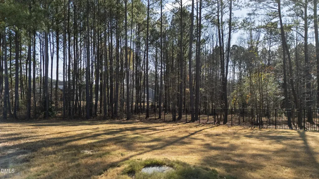 367 Gianna Drive Clayton NC 27527