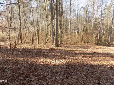 130 Buck Ridge Road Louisburg NC 27549