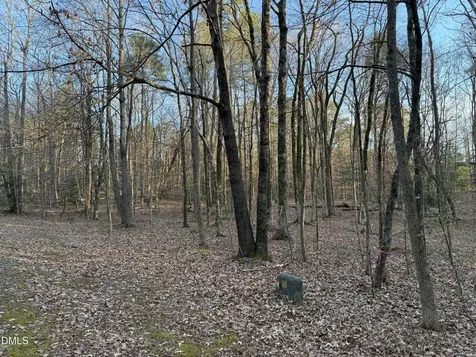 0 Woodland Road Littleton NC 27850