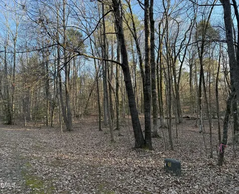 0 Woodland Road Littleton NC 27850